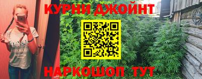 mdpv Новозыбков