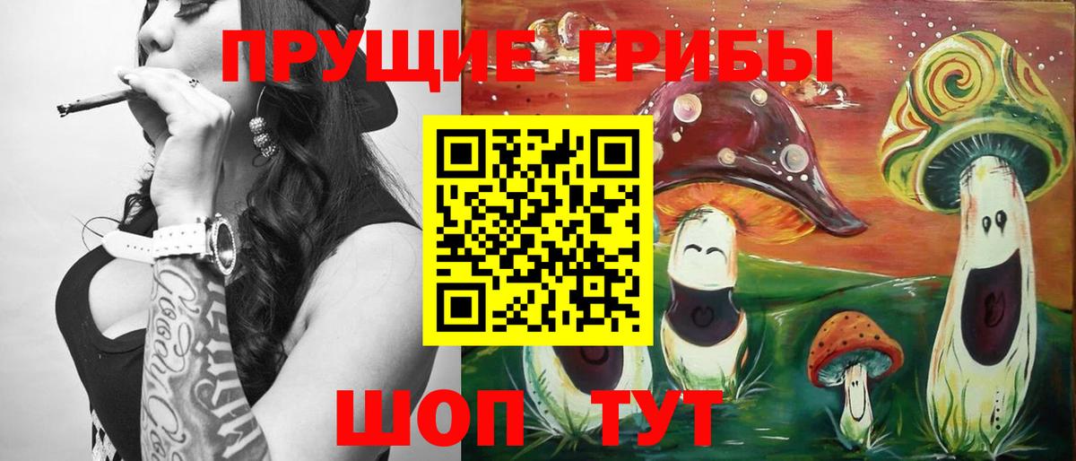 Аксай  Галлюциногенные грибы Psilocybine cubensis  Вход с VPN  Псилоцибиновые грибы Cubensis 