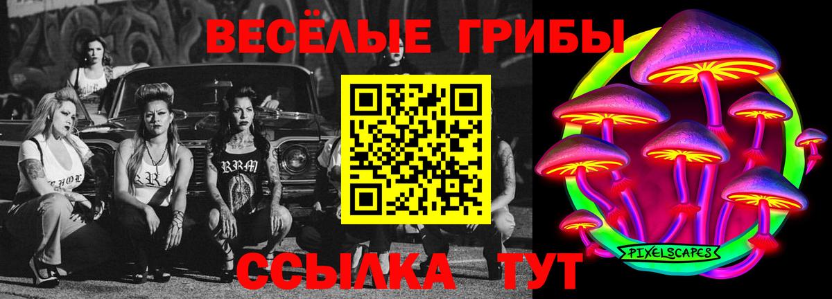 Псилоцибиновые грибы Psilocybe Аксай